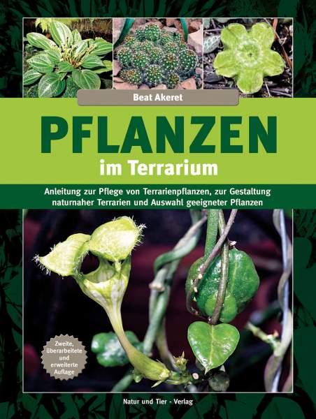 Pflanzen im Terrarium